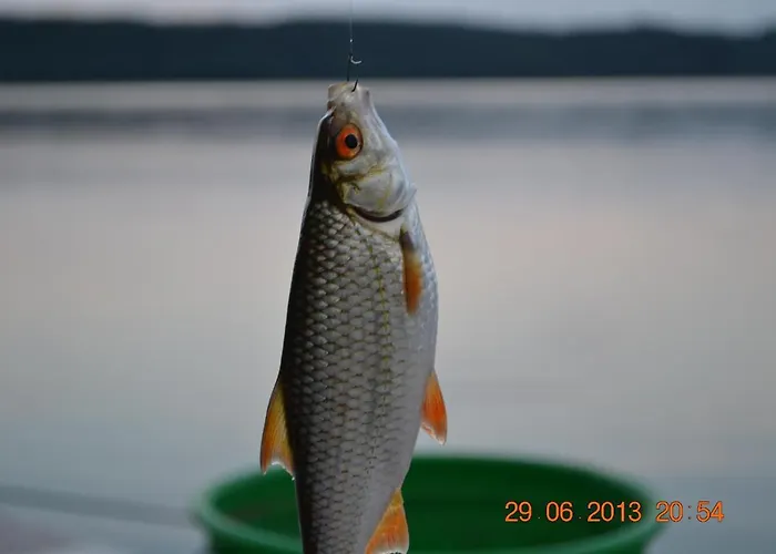 Gowidlina * Gowidlino